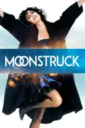 Moonstruck summary, synopsis, reviews