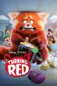 Turning Red summary and reviews