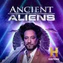 Ancient Aliens, Season 20 reviews, watch and download