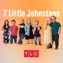 7 Little Johnstons, Season 13 release date, synopsis and reviews