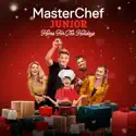 MasterChef Junior: Home for the Holidays, Season 1 release date, synopsis, reviews