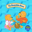 The Berenstain Bears, Vol. 2 reviews, watch and download