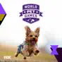 World Pet Games, Season 1