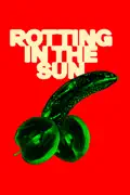 Rotting in the Sun summary, synopsis, reviews