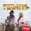 Mistletoe in Montana - Mistletoe in Montana from Mistletoe in Montana
