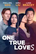 One True Loves summary, synopsis, reviews