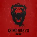 12 Monkeys, Season 1 cast, spoilers, episodes, reviews