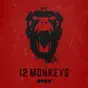 12 Monkeys, Season 1