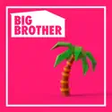 Episode 27 (Big Brother) recap, spoilers