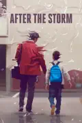 After the Storm summary, synopsis, reviews