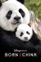 Disneynature: Born In China summary and reviews