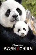 Disneynature: Born In China summary, synopsis, reviews