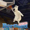 Bernard, The Polar Bear, Sports Season 1 release date, synopsis, reviews
