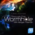 Through the Wormhole with Morgan Freeman, Season 8 cast, spoilers, episodes and reviews