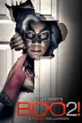 Tyler Perry's Boo 2! - A Madea Halloween summary, synopsis, reviews