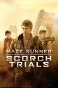 Maze Runner: The Scorch Trials summary and reviews