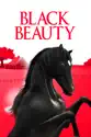 Black Beauty (1971) summary and reviews