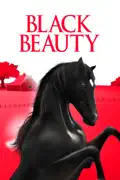 Black Beauty (1971) summary, synopsis, reviews