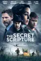 The Secret Scripture summary and reviews
