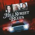 Hill Street Blues, Season 5 cast, spoilers, episodes and reviews