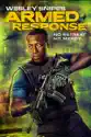 Armed Response (2017) summary and reviews
