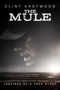 The Mule (2018) reviews, watch and download