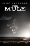 The Mule (2018) summary, synopsis, reviews