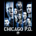 Chicago PD, Season 6 cast, spoilers, episodes, reviews