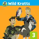 Cheetah Racer - Wild Kratts from Wild Kratts, Vol. 3