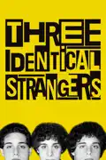 Three Identical Strangers reviews, watch and download