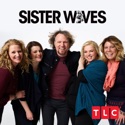 I Will Survive Part 1 (Sister Wives) recap, spoilers