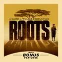 Roots: The Complete Miniseries cast, spoilers, episodes, reviews