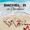Bachelor in Paradise, Season 4 watch, hd download