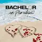Bachelor in Paradise, Season 4