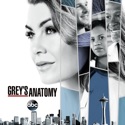 Grey's Anatomy, Season 14 watch, hd download