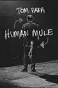 Tom Papa: Human Mule summary and reviews