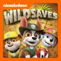 PAW Patrol, Wild Saves cast, spoilers, episodes, reviews