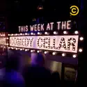 This Week at the Comedy Cellar, Season 1 release date, synopsis, reviews