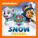 PAW Patrol, Snow Patrol watch, hd download