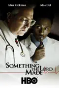 Something the Lord Made summary, synopsis, reviews