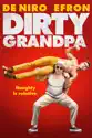 Dirty Grandpa summary and reviews