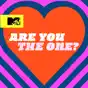 Are You the One?, Season 6