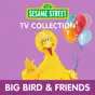 Sesame Street TV Collection: Big Bird & Friends
