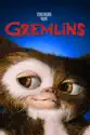 Gremlins summary and reviews