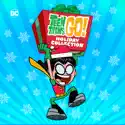 Teen Titans Go! Holiday Collection release date, synopsis, reviews