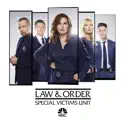 Law & Order: SVU (Special Victims Unit), Season 20 watch, hd download