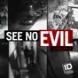 See No Evil, Season 4