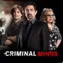 Criminal Minds, Season 13 watch, hd download