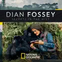 Dian Fossey: Secrets in the Mist cast, spoilers, episodes and reviews