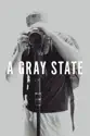 A Gray State summary and reviews